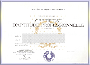 France-diploma-法国毕业照