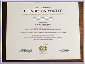 Hofstra-University-diploma-霍夫斯特拉大学毕业照