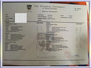 NUS-University-diploma-新加坡国立大学毕业照