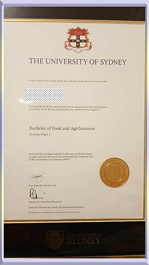 University-of-Sydney,-diploma-悉尼大学毕业照