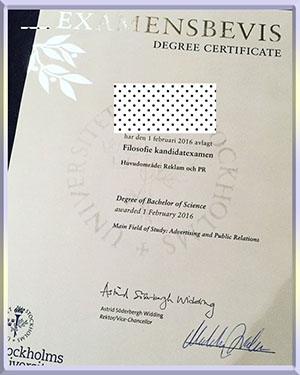斯德哥摩尔University-diploma-斯德哥摩尔大学毕业照